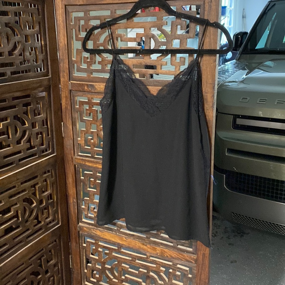 Zara Sheer Top